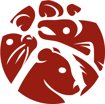 Salmon, bear, seal, and shells circular motif.