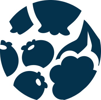 Berries and flower motif circular motif.